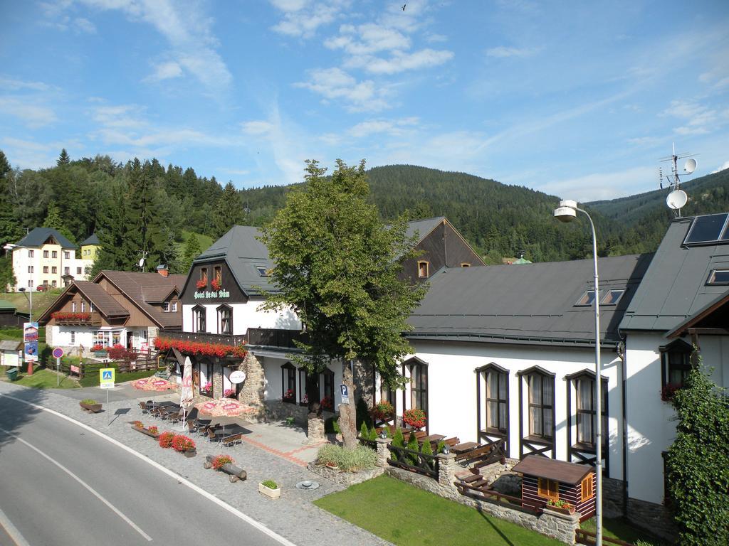 Hotel Lesni Dum Янське Лазне Экстерьер фото