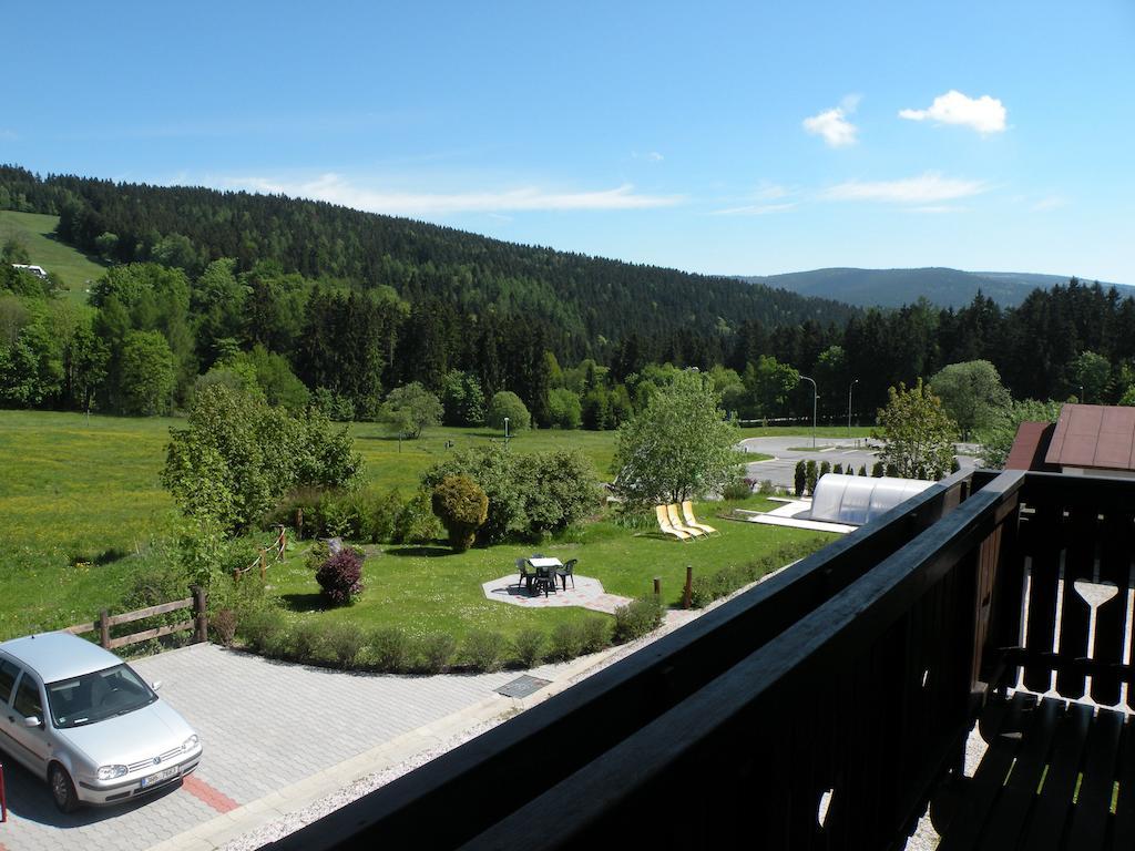 Hotel Lesni Dum Янське Лазне Номер фото