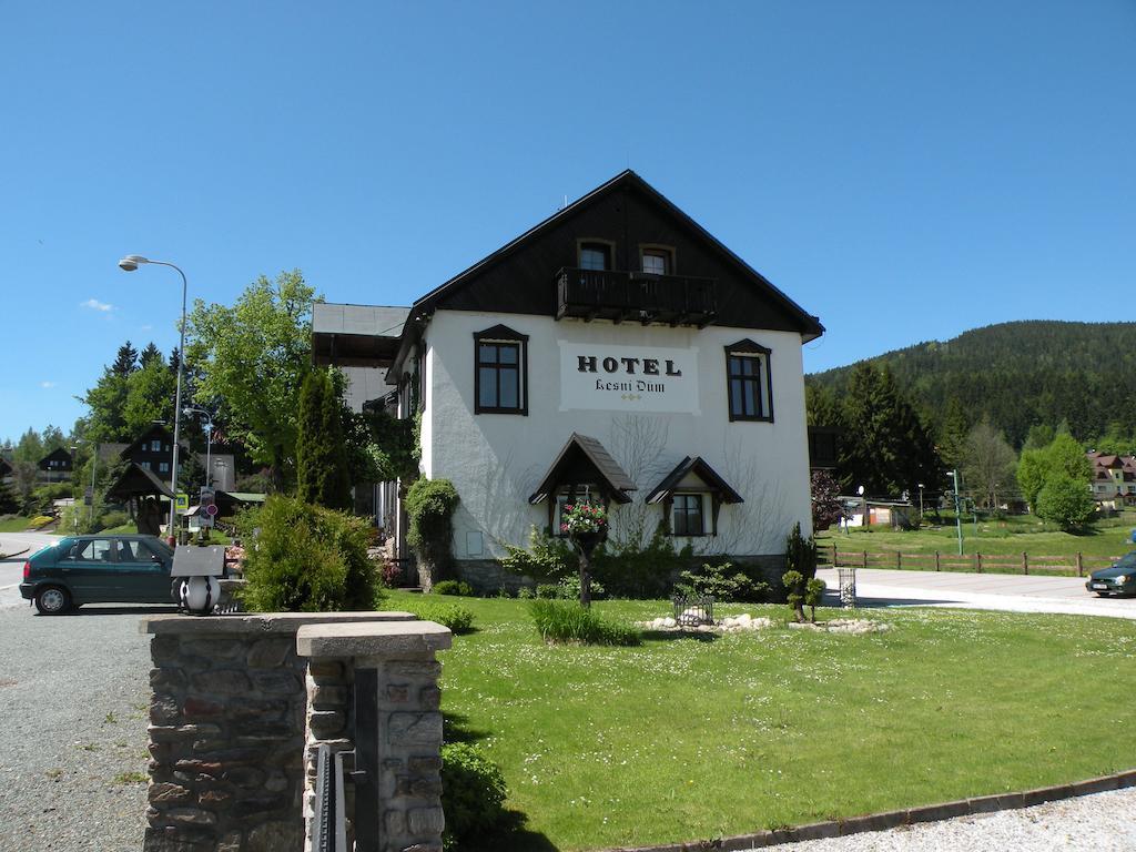 Hotel Lesni Dum Янське Лазне Экстерьер фото